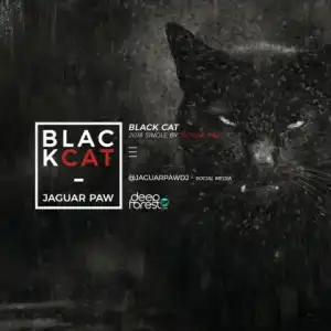 Jaguar Paw - Black Cat (Original Mix)